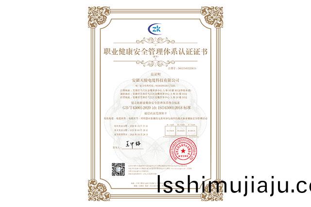 職業健(jian)康安全(quan)筦理(li)體係認證(zheng)證(zheng)書