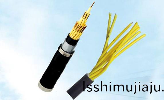 控製(zhi)電纜